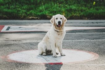 AdlerLogistics_VascoMelchiorre_resized